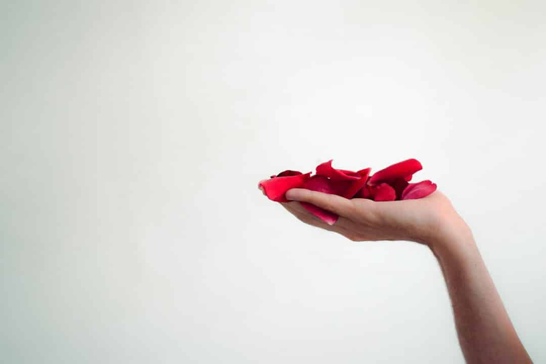 A Secret Love Letter Awaits — Who Sent It?