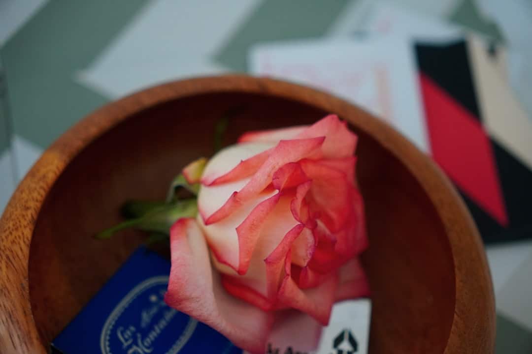 Mysterious Love Letter Arrives — Open to Change Everything